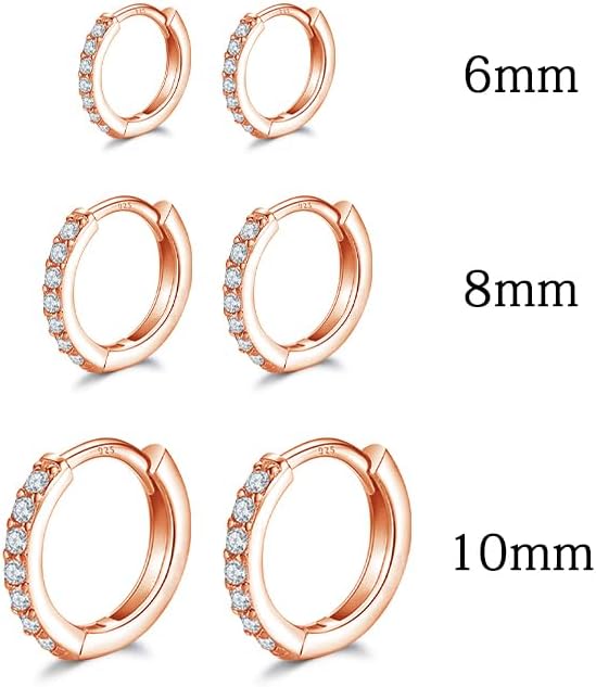 Dlihc 6 Pairs Sterling Silver Hoop and Stud Earrings Set for Women Men