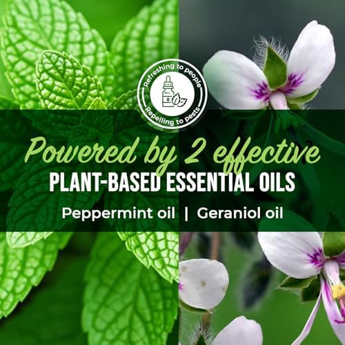 Mighty Mint Peppermint Oil Roach Repellent Spray, 16 oz | Natural Cockroach Killer, Indoor and Outdoor Use, Plant-Based Insect and Pest Control