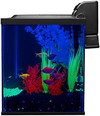 GloFish Crescent aquarium Kit 3 Gallons, Includes Hidden Blue LED Light And Internal Filter