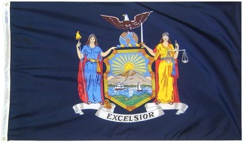 Annin Flagmakers New York State Flag USA-Made to Official State Design Specifications, 3 x 5 Feet (Model 143860) | USA-Made to Official State Design Specifications