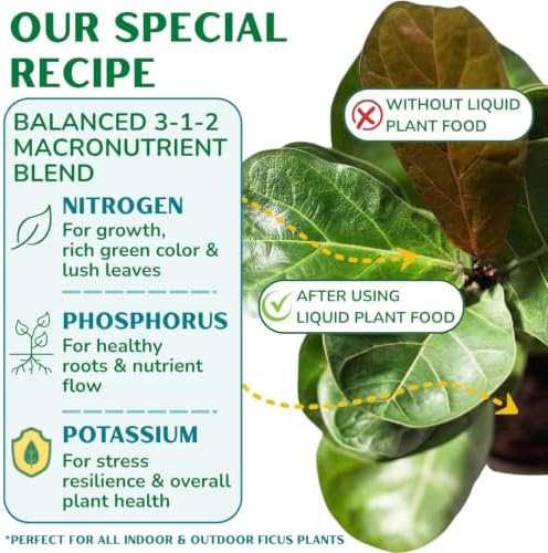 Fiddle Leaf Fig Plant Food, 3-1-2 NPK Liquid Fertilizer for Ficus, 8 oz