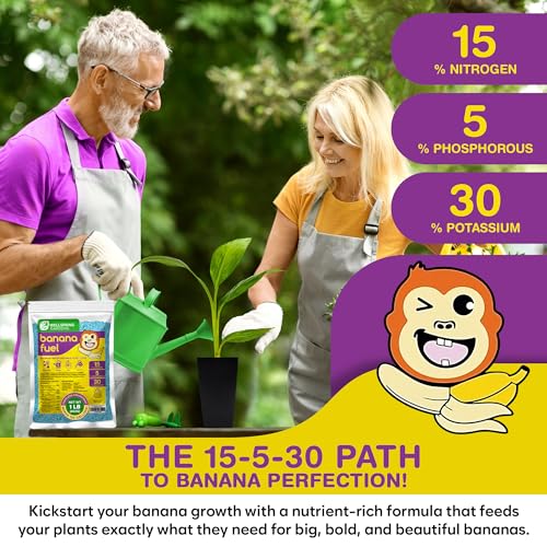 Wellspring Gardens Banana Fuel Fertilizer - Water-Soluble 15-5-30 Blend - Fertilizer for Banana Trees & Plants - Grow Healthy Plants (2 Pounds)
