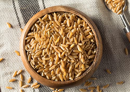 Food to Live Organic KAMUT Khorasan Wheat Berries, 5 Pounds – 100% Whole Grain, Sproutable for Wheatgrass, Non-GMO, Kosher, Bulk