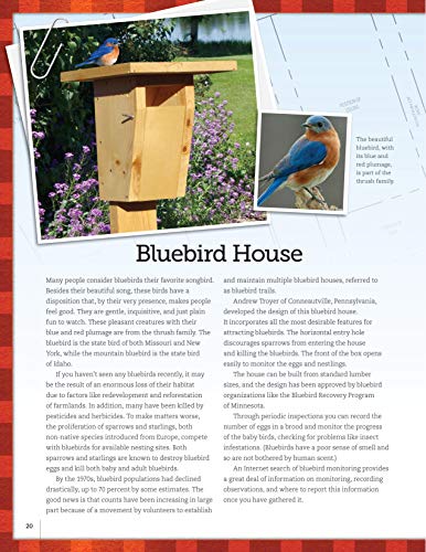 Bird-Friendly Nest Boxes & Feeders: 12 Easy-to-Build Designs that Attract Birds to Your Yard (Fox Chapel Publishing) Projects and Advice for