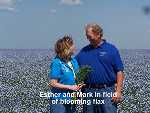 Golden Omega Whole Flax Seed