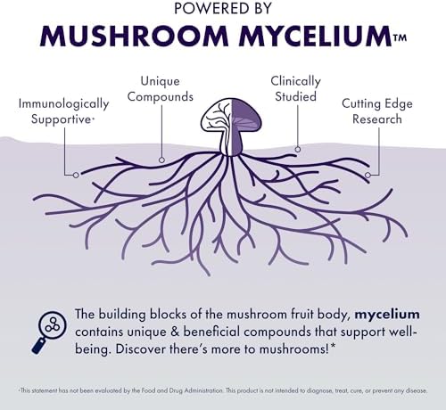 Host Defense MycoBotanicals Brain* Capsules - Brain Support Supplement with Lion's Mane, Reishi & Cordyceps Mushroom - Herbal Supplement for Memory & Focus Support - 60 Capsules