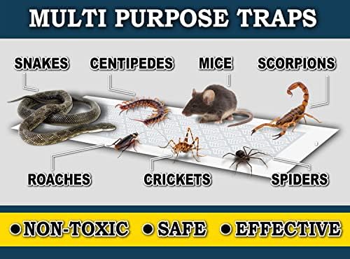 MaxGuard Glue Trap Strips (24 Traps) Non-Toxic Extra Sticky Glue Board Pre-Baited with Fruity Scent Attractant Trap & Kill Insects, Bugs, Spiders