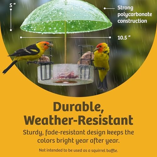 Birds Choice Red Bird Feeder Dome | 10.5" Rain Guard Cover for Hanging Bird Feeders | Outdoor Weather Guard to Help Keep Seed Dry | Domed Acrylic Outdoor Weather Guard for Hanging Feeders to Keep Seed Dry, Heavy-Duty Chrome-Plated Hanger and Hook