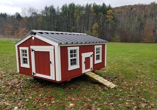 Shed Windows and More 12 X 18 Playhouse Window White Flush, Chicken Coop Window, Shed Window