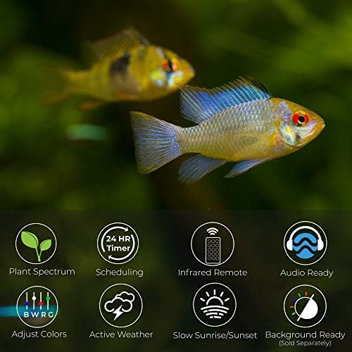 CURRENT USA 18-24" Inch White Full Spectrum Freshwater LED Aquarium Plant Light 10 15 20 25 Gallon | Satellite Plus RGB+ for Aquariums | Wireless 24