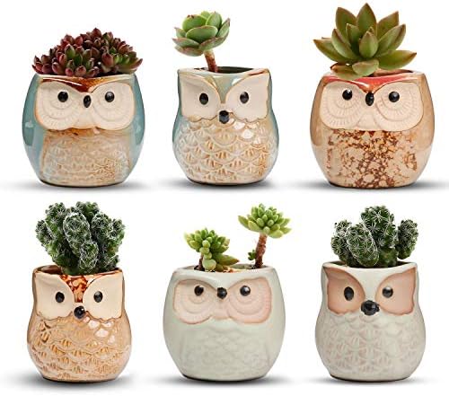 T4U Mini Succulent Ceramic Pots for Gifts, Small Planters for Decor 6 Pack | Planters with Drainage, for live cactus plants, bonsai tree starter pots, indoor windowsill decor, office desk accents