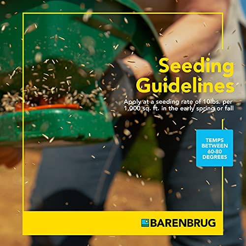 Barenbrug 25626 Turf Sense Athletic Field Grass Seed Grows in Areas of Sun and Partial Shade, 25 LB Bag