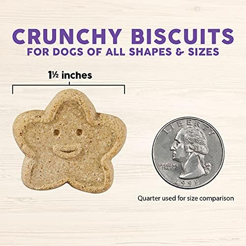 Cloud Star Wag More Bark Less - Dog Treats - Crunchy Biscuits - Grain Free Assorted Flavors - 14 oz Box