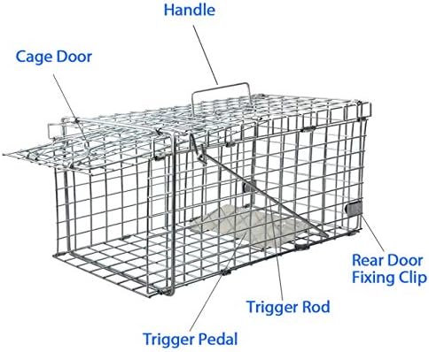 Gingbau Squirrel Trap Foldable Heavy Duty Humane Live Animal Cage Trap (Not for Mouse)