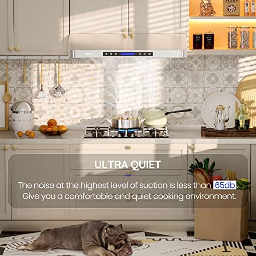 EKON 42 inches Under Cabinet Range Hood, 900 CFM Stainless Steel Kitchen Chimney Vent