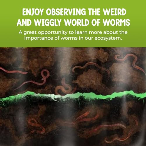Worm Farm for Kids Kit with 20 Live Composting Worms, All-in-One Bundle | Watch composting in action with this complete kit with live worms included, all-in-one bundled engaging science project