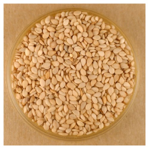 Sesame Seeds, Toasted - 10 lbs Bulk