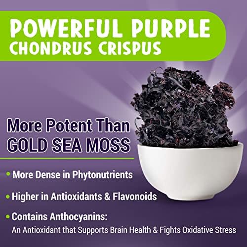 MAJU 4-in-1 Organic Sea Moss Capsules, Wild Chondrus Crispus, Seamoss w/Bladderwrack + Burdock Root, Stronger Than Gel, Irish