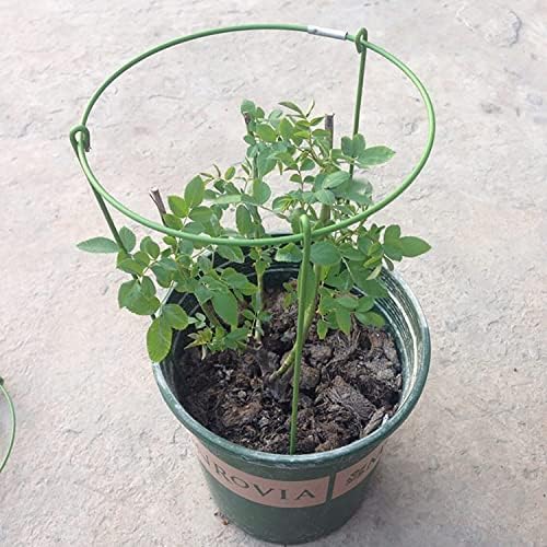 (Pack of 3) Garden Plant Support Rings, 5.5" Wide x 11" High, 3 Legs