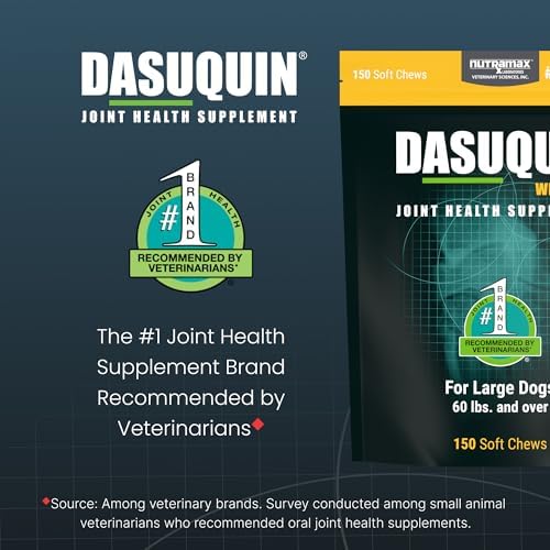 Nutramax Dasuquin MSM Joint Supplement for Large Dogs, Soft Chews, 84ct | Glucosamine and Chondroitin, ASU, MSM, Supports Healthy Joints, For Dogs Over 60 lbs, All Ages, Soft Chews