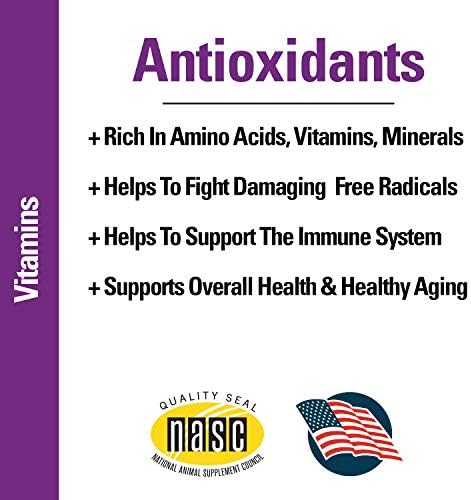 Coenzyme Q-10 Antioxidant Dog Supplement – Pet Health Supplement for Dogs – Supports Overall Dog Wellness, Aging – Includes Green Tea, Vitamin C