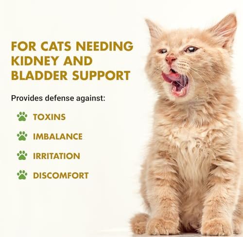 Feline Kidney & Bladder Advanced Formula, Plain, 8 oz