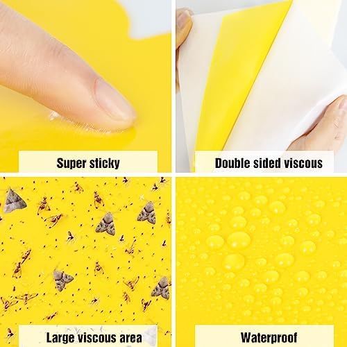 40 Pack Fungus Gnat Traps, Yellow Sticky Fruit Fly Traps for Indoor Plants