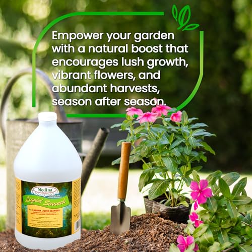 Medina Liquid Seaweed Fertilizer, 1 Gallon | For Plants, Concentrated, Lawn and Garden, Enhances Plant Growth and Soil Health, Ready to Spray, Covers 64000 Sq. Ft.