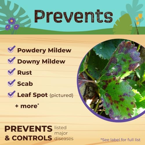 Bonide Captain Jack's Neem Oil, 16 oz. Concentrate, Multi-Purpose Fungicide, Insecticide and Miticide for Organic Gardening | Multi-Purpose Fungicide
