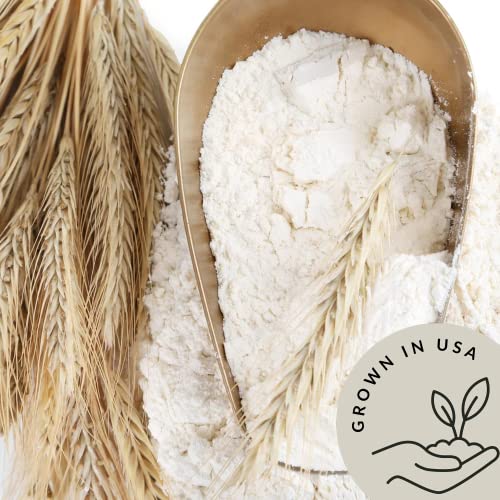 Organic Einkorn Farro Grain 4.8 lb - Einkorn Wheat Berries Bulk Whole | Ancient Grains Ideal for Soup, Flour, Bread - High in Fiber - USA Grown | USDA Certified | Vegan | Non-GMO