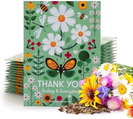 Bentley Thank You Packet - Sunflower Seeds - Pack of 25 - Perfect Eco-Friendly Thank You Gift - Non GMO