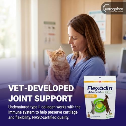 Vetoquinol Flexadin Advanced Hip and Joint Supplement with Undenatured Collagen for Dogs, One Chew a Day Hip and Joint Support Chew for Dogs and Cats, Clinically Proven Vet-Approved Formula, 60 Chews
