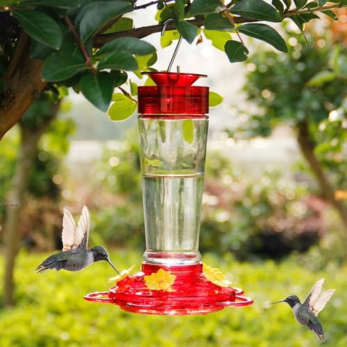 Shrdaepe Hummingbird Feeder, Glass Bottle Bird Feeders, 5 Feeding Ports, 10-Ounce Nectar Capacity