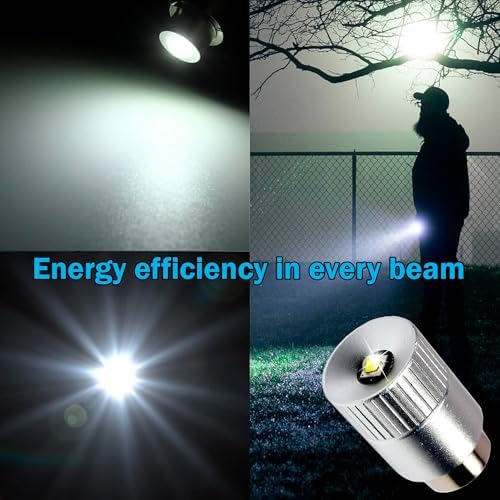 HQRP 2-Pack Ultra Bright 300Lm High Power 3W LED Upgrade Bulb Compatible with MagLight 2D 3D 2C 3C Halogen Xenon Flashlight D30113730000 LWSA201