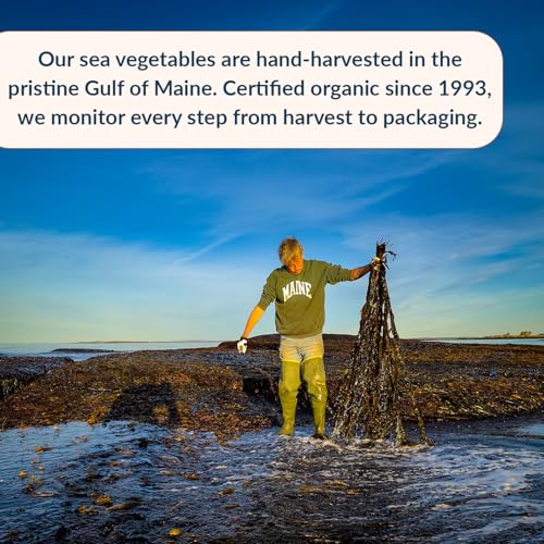 Maine Coast Sea Vegetables Organic Dulse Granules With Garlic Shaker - Seaweed Seasoning - Rich in Iodine - North Atlantic Harvested - Great for
