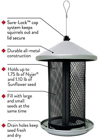Perky-Pet Dual Mesh Wild Bird Seed Feeder - Holds up to 2.85 lb Wild Bird Seed - Dual Compartment for Seeds and Thistle - TSS00349