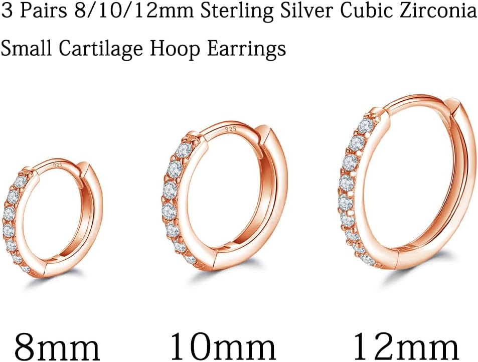 Dlihc 6 Pairs Sterling Silver Hoop and Stud Earrings Set for Women Men