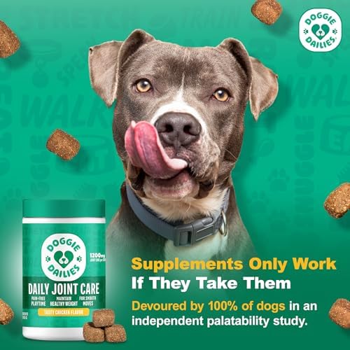 Doggie Dailies Hip & Joint Chews for Dogs, Chicken, All Breeds, 225 Count | Glucosamine & Chondroitin Supplement, Supports Joint Health & Mobility, Soft Chews for Dogs of All Breeds & Sizes