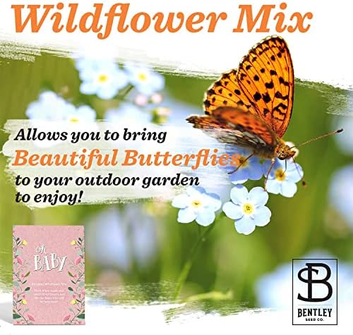 BENTLEY SEED CO. Oh Baby Flower Seeds Packets - Girl/Boy Baby Shower Favors - Pre-Filled