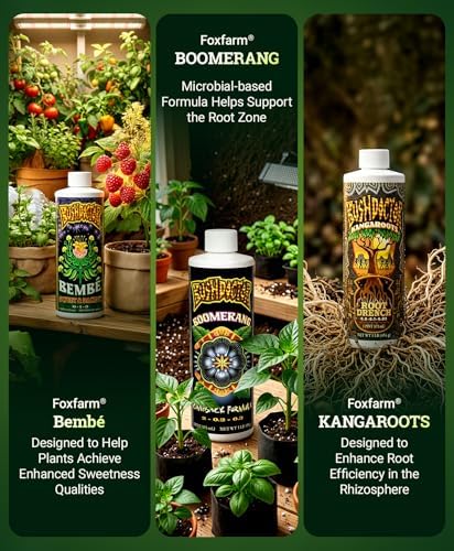 FoxFarm Dirty Dozen Liquids & Solubles Starter Pack - 3 Solubles (Open Sesame, Beastie Bloomz, Cha Ching) & 9 Pint Liquids (Big Bloom, Tiger Bloom