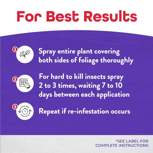 Bonide Systemic Insect Control, 16 oz Concentrate Long Lasting Insecticide for Outdoor Gardening, Makes 16 Gallons | Long Lasting Insecticide