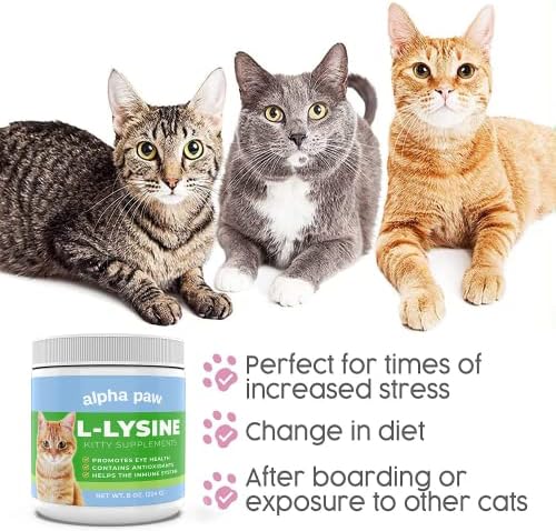 Alpha Paw - Human Grade for Pets - Cat Lysine Supplement - Extra Servings 5-10 Month Supply - Natural Lysine (8 Ounces/227 Grams)