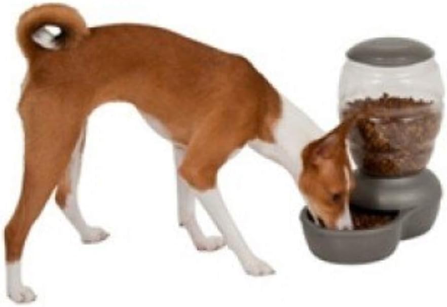 Petmate Replendish Feeder Automatic Cat and Dog Feeder, Pearl Peacock Blue, 10 LB, Made in USA