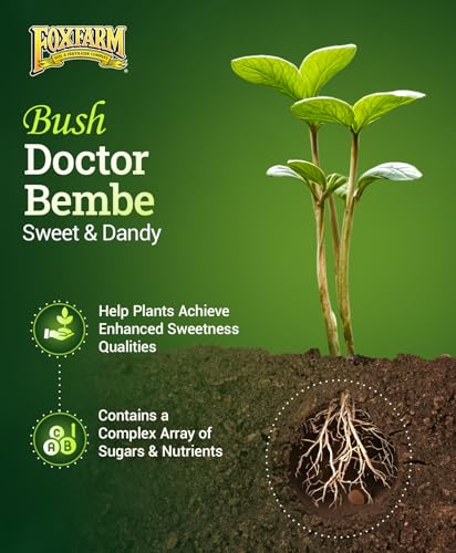FoxFarm Bush Doctor Bembé Sweet & Dandy Liquid Plant Fertilizer - Complex Nutrient Blend - 0-1-3 PK Fertilizer for In-Ground & Hydroponic Gardens - 1 Quart