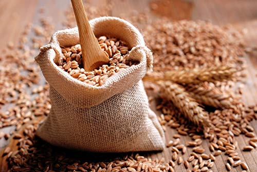 Food to Live Organic Spelt Berries, 3 Pounds - Non-GMO, Whole Grain, Non-Irradiated, Vegan Superfood, Bulk, Product of the USA