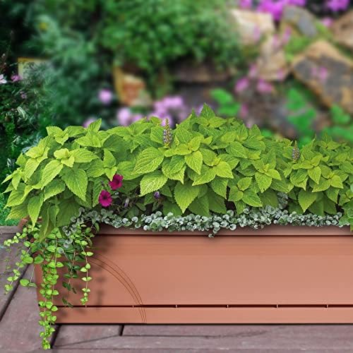 Southern Patio 36 Inch Medallion Weatherproof and Sunray Protected Plastic Hanging Windowsill Garden Box Planter with Drainage Holes, Black