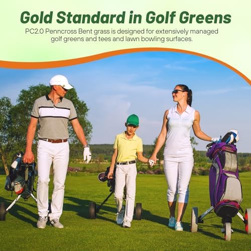 Outsidepride PC2.0 (Penncross) Creeping Bent Grass Seed – 2 lbs. Premium Golf Course Grade, Dense, Wear-Resistant Turf Grass Seeds for Tees, Putting Greens & Fairways, Ideal for High Traffic Areas