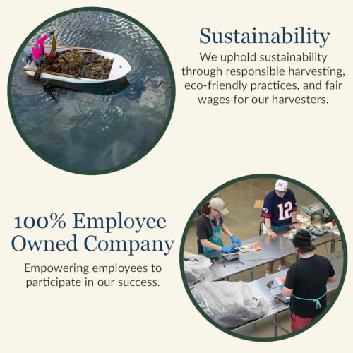 Maine Coast Sea Vegetables Kelp Granules Blend | Organic Seaweed Snacks | Sustainably Harvested | Low Sodium Salt Alternative | Rich in Iodine &