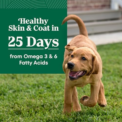 Nutro Natural Choice Large Breed Puppy Dry Dog Food, Chicken, 30 lb | Real chicken #1 ingredient, non-GMO, no corn, wheat, soy, supports brain & eye development, bones, muscles & joints