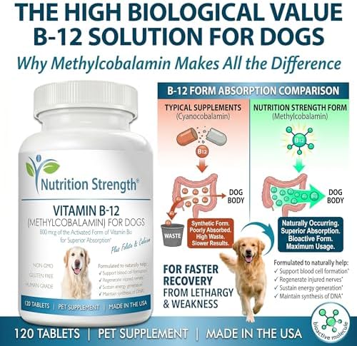 Vitamin B12 for Dogs Plus Folate & Calcium, Support the Nervous System & Blood Cell Formation